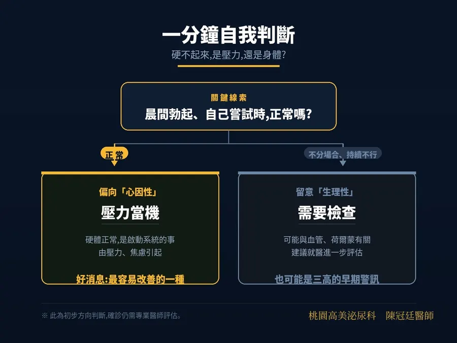 一分鐘自我判斷流程圖。關鍵線索是「晨間勃起、自己嘗試時正常嗎」,正常者偏向心因性、屬壓力當機,不分場合持續不行者要留意生理性、需要檢查
