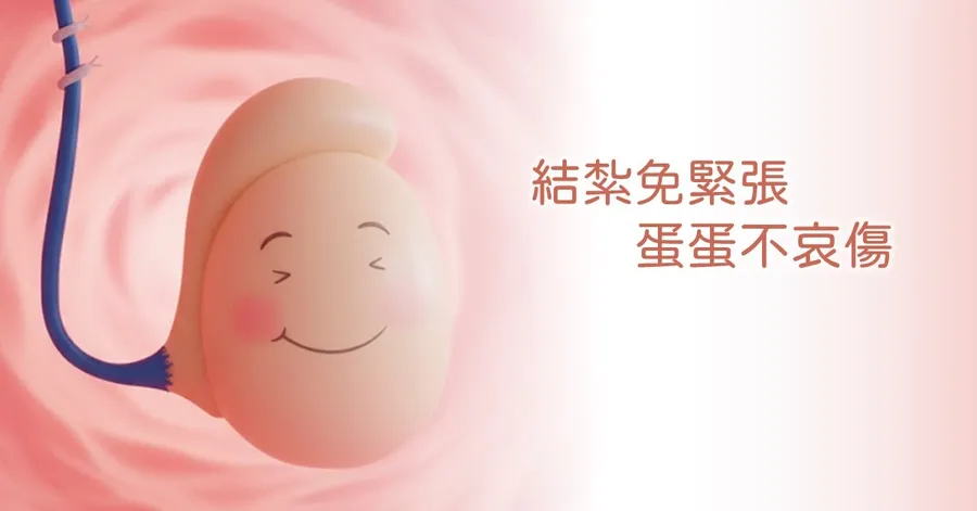 卡通風格插圖：一顆微笑的睪丸連著輸精管，旁邊寫著「結紮免緊張，蛋蛋不哀傷」